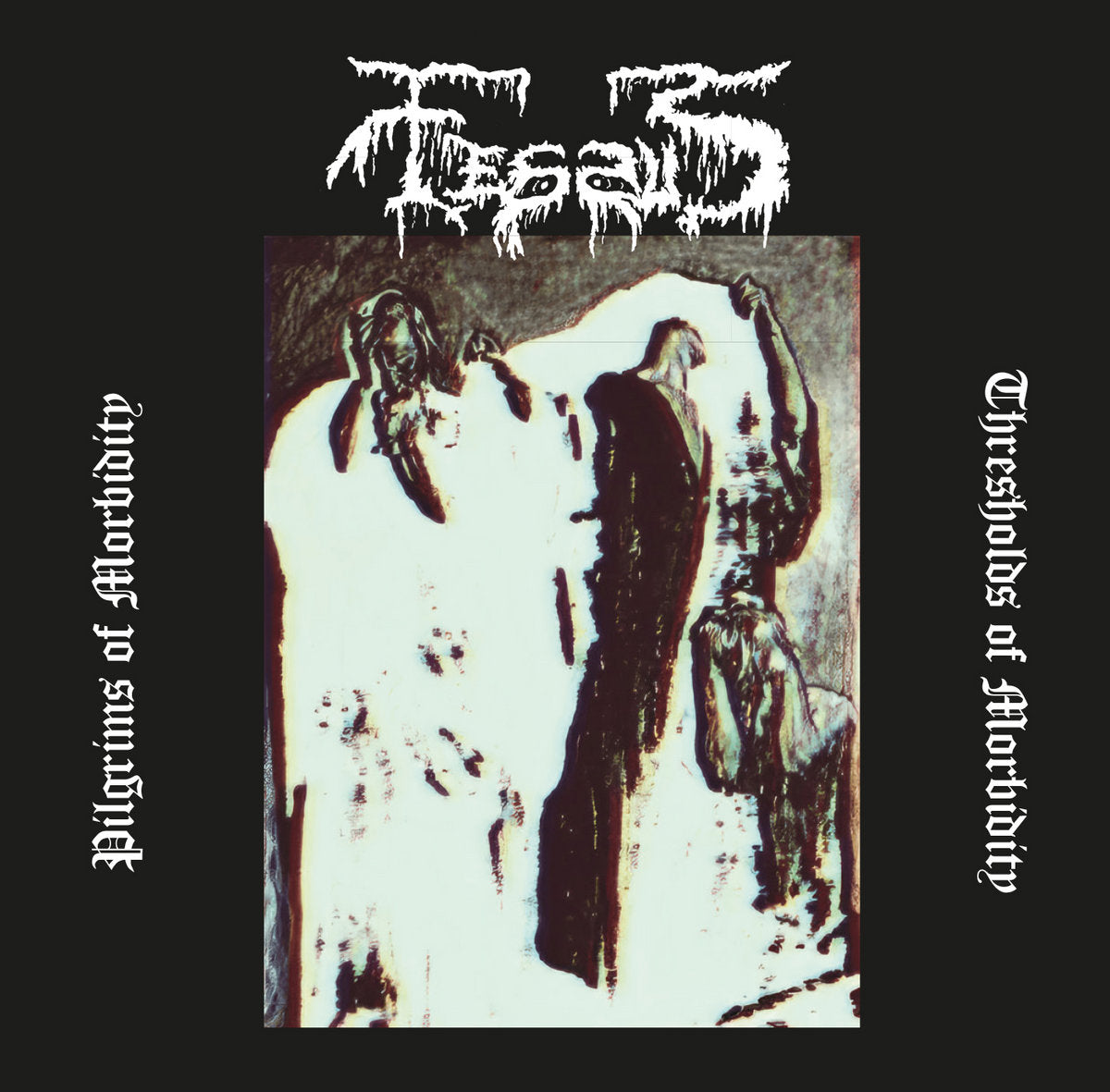 FESSUS "Pilgrims Of Morbidity" CD