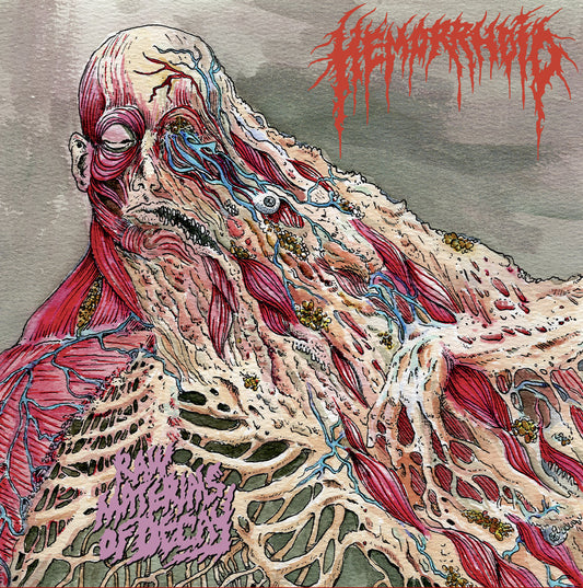HEMORRHOID "Raw Materials Of Decay" CD