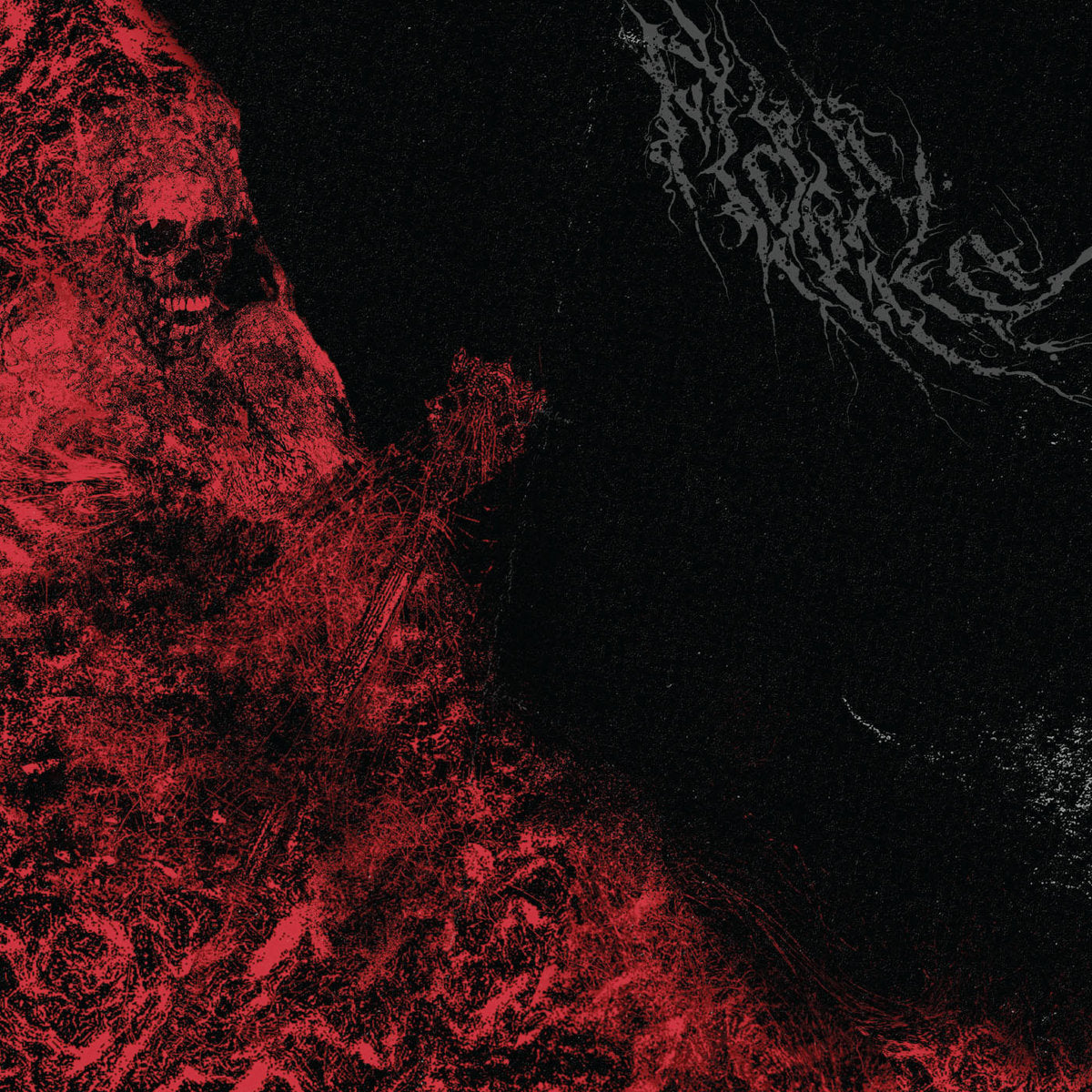 FLAGELO "Insaciable" 12" Mini LP