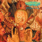 FESTERDECAY "Reality Rotten To The Core" CD