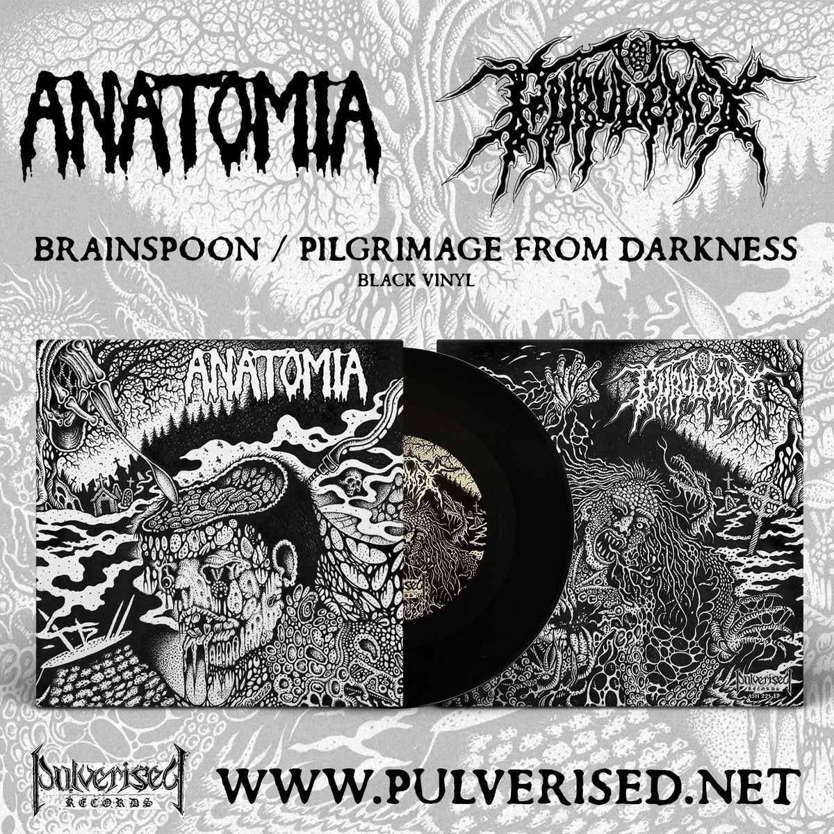 ANATOMIA / PURULENCY "Split" Gatefold 7" EP