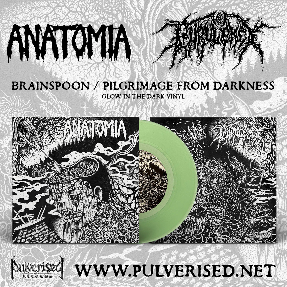 ANATOMIA / PURULENCY "Split" Gatefold 7" EP