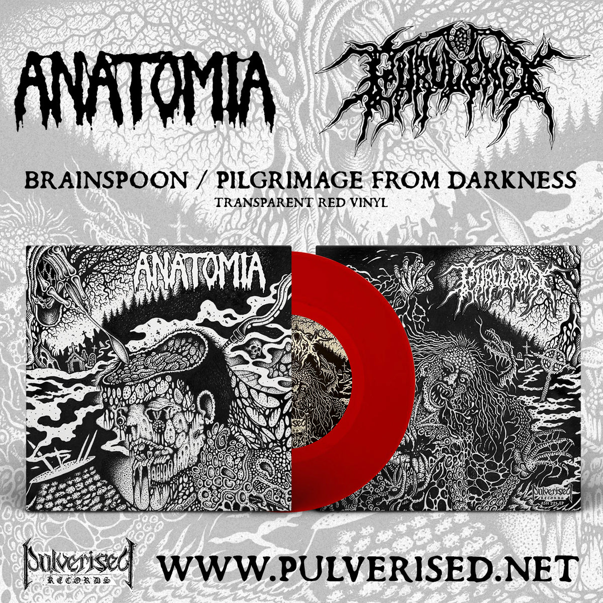 ANATOMIA / PURULENCY "Split" Gatefold 7" EP
