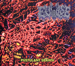 EVULSE "Pustulant Spawn" Digipak Mini CD