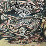 MVLTIFISSION "Decomposition In The Painful Metamorphosis" LP